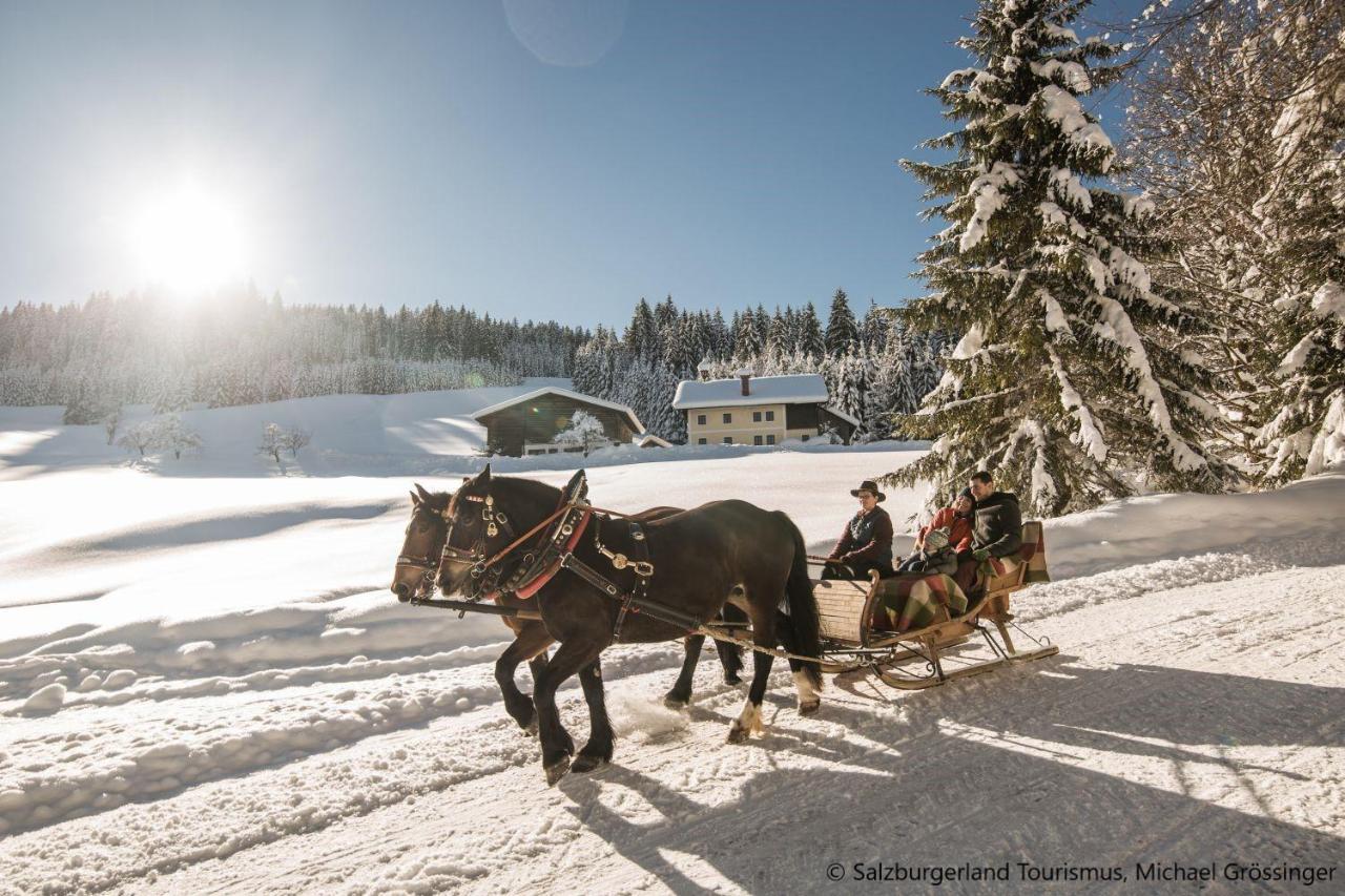 Hideaway Dachstein West By Alps Resorts Sankt Martin am Tennengebirge Eksteriør billede
